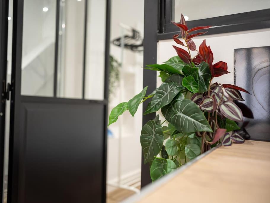 Appartement Tout Equipe Au Coeur Du Panier Vieux Port Marselha Exterior foto